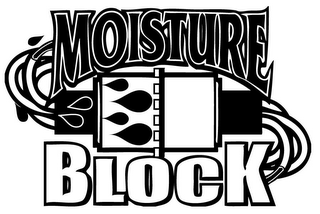 MOISTURE BLOCK