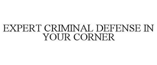 EXPERT CRIMINAL DEFENSE IN YOUR CORNER