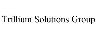 TRILLIUM SOLUTIONS GROUP