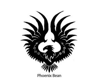 PHOENIX BEAN