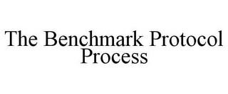 THE BENCHMARK PROTOCOL PROCESS