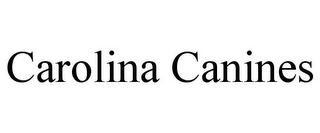 CAROLINA CANINES