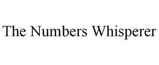 THE NUMBERS WHISPERER