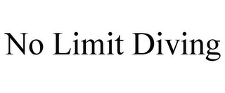 NO LIMIT DIVING