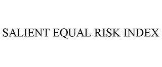 SALIENT EQUAL RISK INDEX