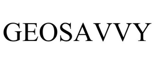 GEOSAVVY