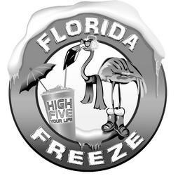 FLORIDA FREEZE HIGH FIVE YOUR LIFE