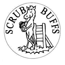 SCRUB BUFFS