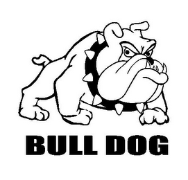 BULL DOG