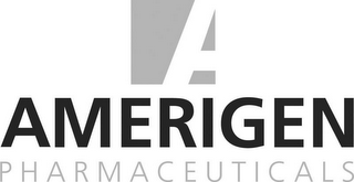 A AMERIGEN PHARMACEUTICALS