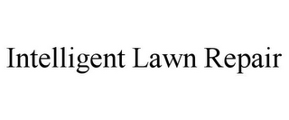 INTELLIGENT LAWN REPAIR