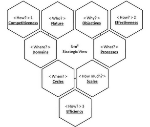 WHO? WHERE? WHAT? WHY? WHEN? HOW MUCH? HOW? 1 2 3 BM2 STRATEGIC VIEW COMPETITIVENESS EFFECTIVENESS EFFICIENCY NATURE DOMAINS PROCESSES OBJECTIVES CYCLES SCALES