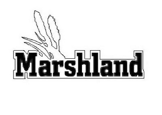 MARSHLAND