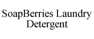 SOAPBERRIES LAUNDRY DETERGENT
