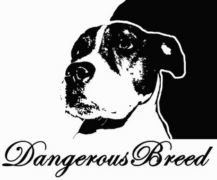 DANGEROUS BREED