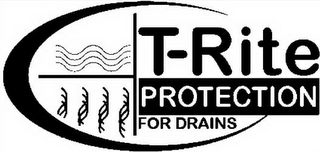 T-RITE PROTECTION FOR DRAINS