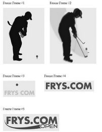 FRYS.COM OPEN