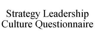 STRATEGY LEADERSHIP CULTURE QUESTIONNAIRE