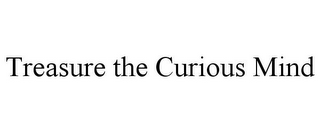 TREASURE THE CURIOUS MIND