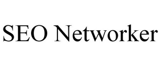 SEO NETWORKER