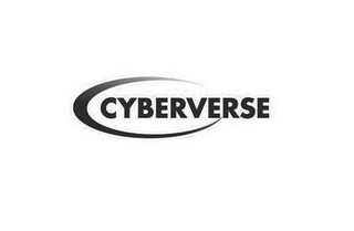 CYBERVERSE