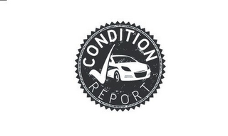 CONDITION REPORT