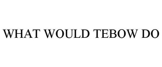 WHAT WOULD TEBOW DO
