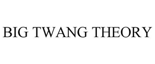 BIG TWANG THEORY