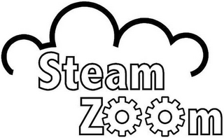 STEAM ZOOM