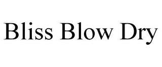 BLISS BLOW DRY