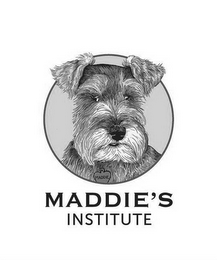 MADDIE'S INSTITUTE