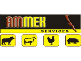 AMMEX SERVICES