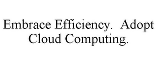 EMBRACE EFFICIENCY. ADOPT CLOUD COMPUTING.