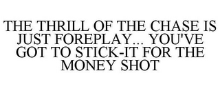 THE THRILL OF THE CHASE IS JUST FOREPLAY... YOU'VE GOT TO STICK-IT FOR THE MONEY SHOT