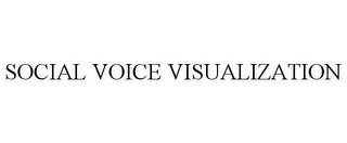 SOCIAL VOICE VISUALIZATION