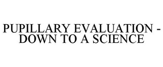 PUPILLARY EVALUATION - DOWN TO A SCIENCE