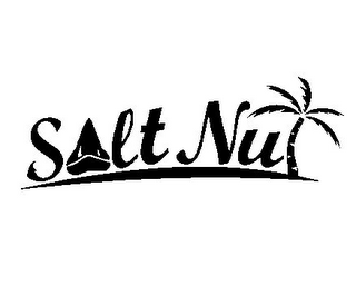 SALT NUT