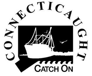 CONNECTICAUGHT CATCH ON