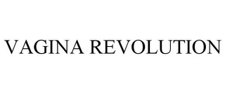 VAGINA REVOLUTION
