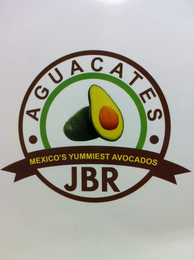 · AGUACATES · JBR MEXICO'S YUMMIEST AVOCADOS