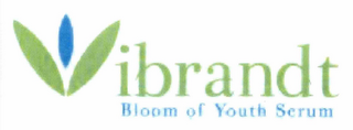 VIBRANDT