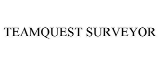 TEAMQUEST SURVEYOR