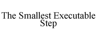 THE SMALLEST EXECUTABLE STEP