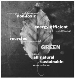 GREEN ENERGY EFFICIENT NON-TOXIC ENERGY EFFICIENT ALL NATURAL RECYCLED SUSTAINABLE RECYCLED ALL NATURAL SUSTAINABLE NON-TOXIC