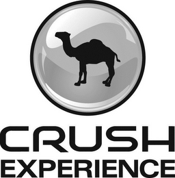 CRUSH EXPERIENCE