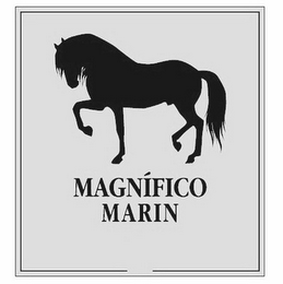 MAGNÍFICO MARIN