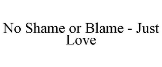 NO SHAME OR BLAME - JUST LOVE