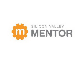 M SILICON VALLEY MENTOR