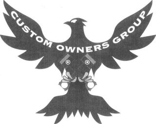 CUSTOM OWNERS GROUP