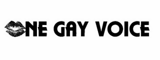 ONE GAY VOICE